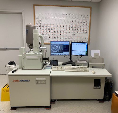 Jeol JSM 5900 LV SEM (Scanning Electron Microscope)