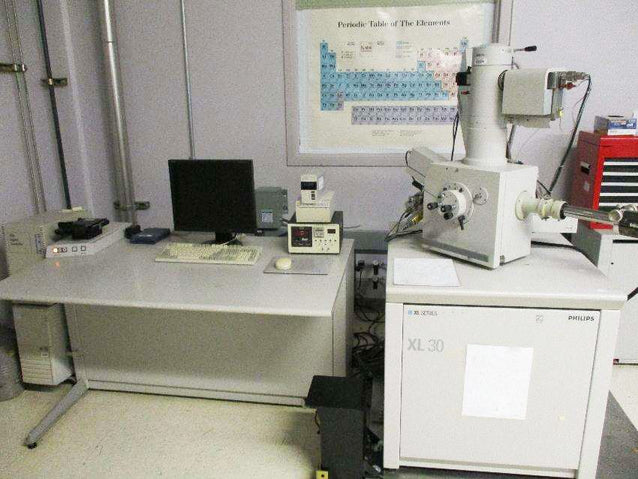 Thermo Fisher Scientific / FEI XL 30 SEM (Scanning Electron Microscope)