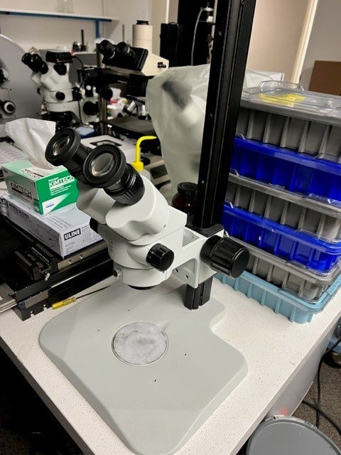 Microscope