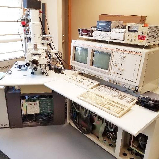 Jeol JSM 6400 SEM (Scanning Electron Microscope)