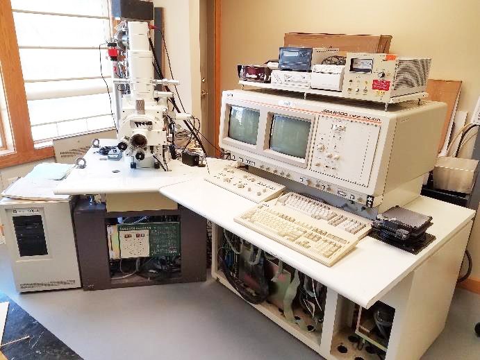 Jeol JSM 6400 SEM (Scanning Electron Microscope)