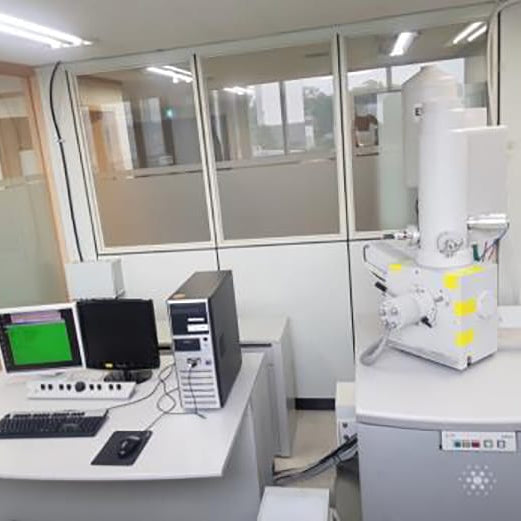 Thermo Fisher Scientific / FEI Sirion XL 30 FE-SEM (Field Emission Scanning Electron Microscope)