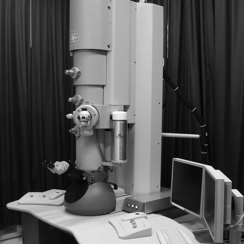 Thermo Fisher Scientific / FEI Tecnai F 20 FEG Cryo TEM (Transmission Electron Microscope)