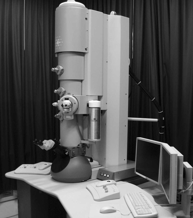 Thermo Fisher Scientific / FEI Tecnai F 20 FEG Cryo TEM (Transmission Electron Microscope)