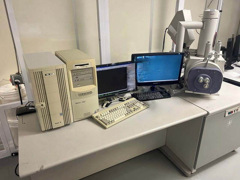 Thermo Fisher Scientific / FEI XL 30 E-SEM (Environmental Scanning Electron Microscope)