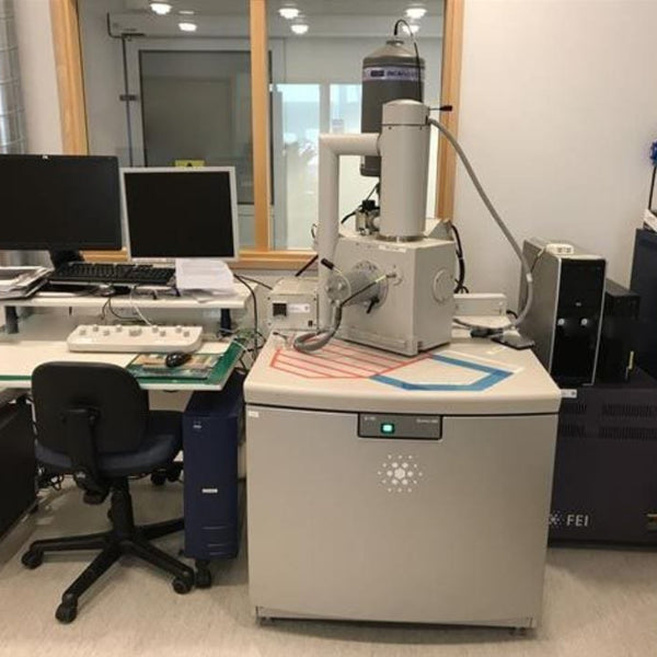 Thermo Fisher Scientific / FEI Quanta 200 E-SEM (Environmental Scanning Electron Microscope)
