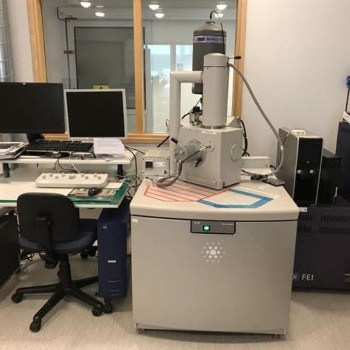 Thermo Fisher Scientific / FEI Quanta 200 E-SEM (Environmental Scanning Electron Microscope)