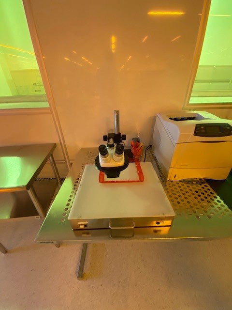Bausch & Lomb Microscope