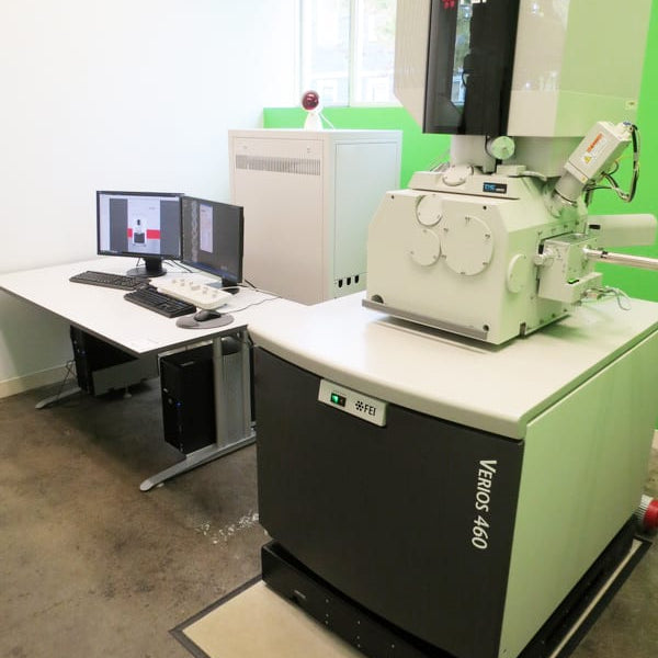 Thermo Fisher Scientific / FEI Verios 460 SEM (Scanning Electron Microscope)