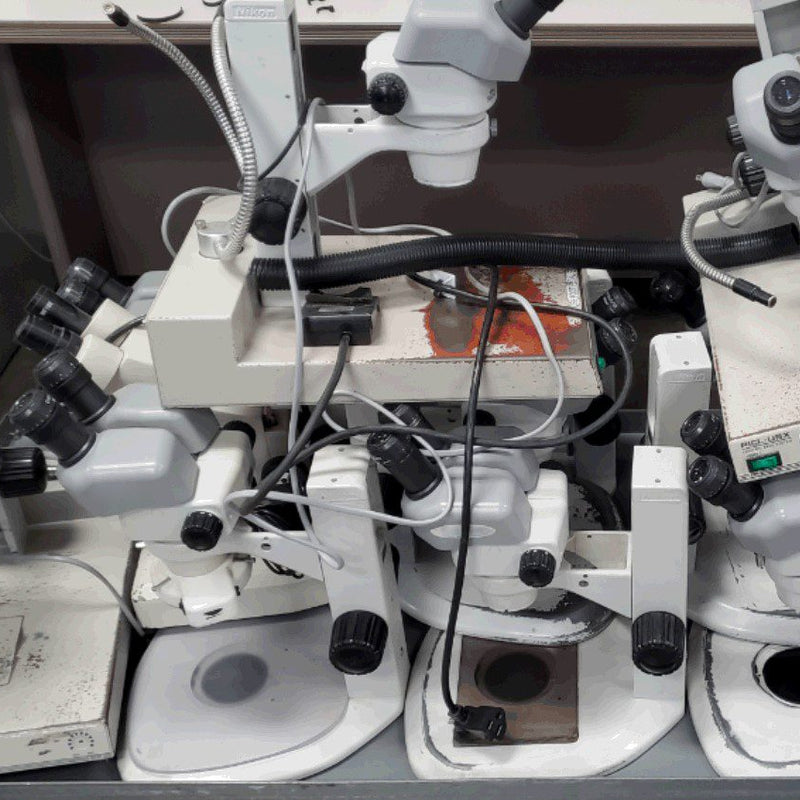 Nikon Lot of Nikon Microscopes