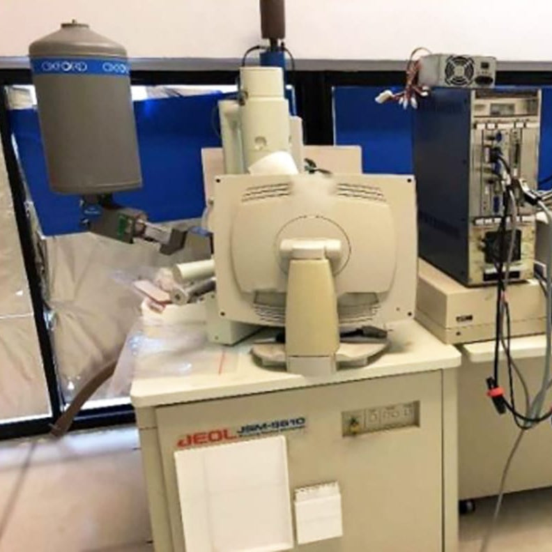 Jeol JSM 5610 SEM (Scanning Electron Microscope)