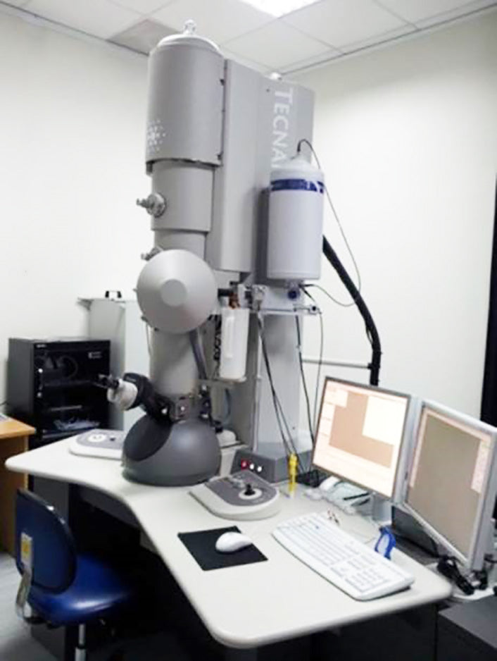 Thermo Fisher Scientific / FEI Tecnai F 20 TEM (Transmission Electron Microscope)