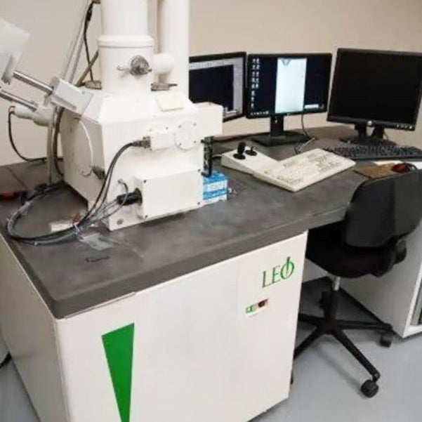 Leo 1450 VP SEM (Scanning Electron Microscope)