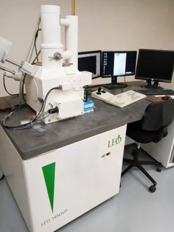 Leo 1450 VP SEM (Scanning Electron Microscope)