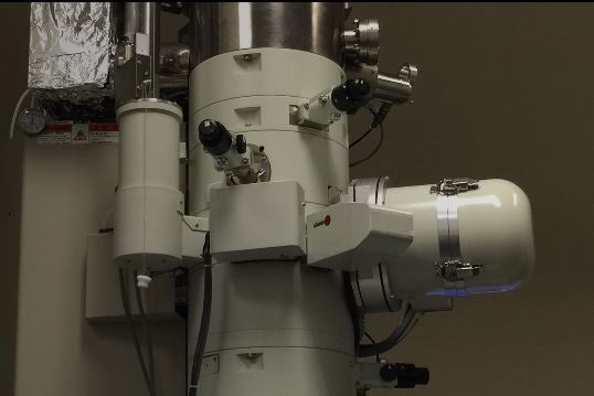 Jeol 2100 SEM (Scanning Electron Microscope)