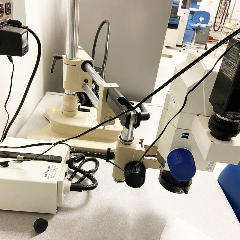 Zeiss Discovery V 8 Stereo