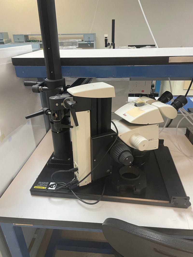 KLA / Leica M 165 C Microscope