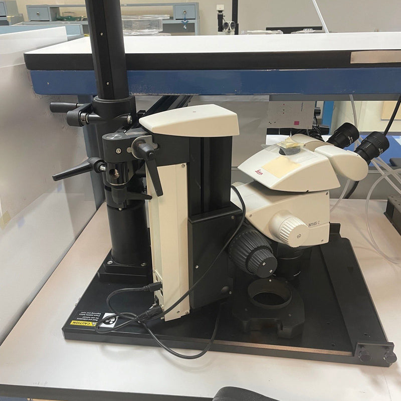 KLA / Leica M 165 C Microscope