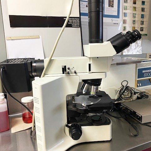 Olympus BX 41 TF Microscope