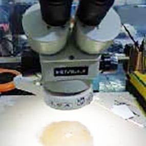 Meiji Microscope