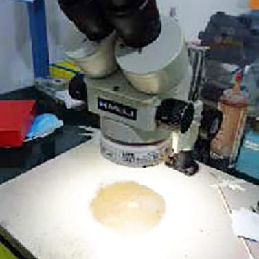 Meiji Microscope