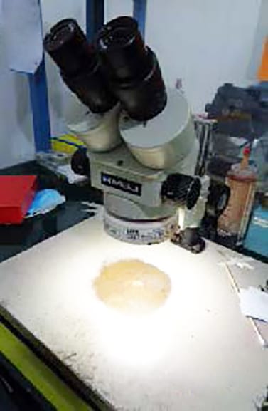 Meiji Microscope