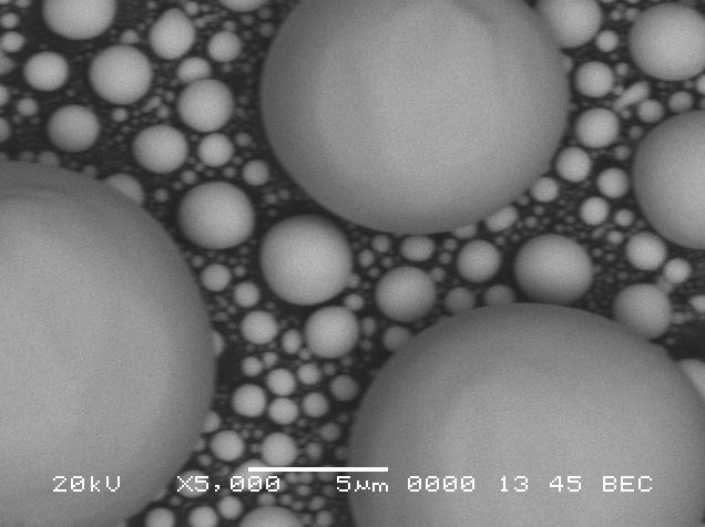 Jeol JSM 6060 LV Turbo SEM (Scanning Electron Microscope)