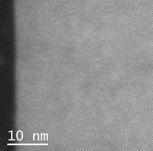 Jeol 2100 SEM (Scanning Electron Microscope)