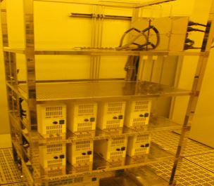 Tel Mark 8 Coater / Developer