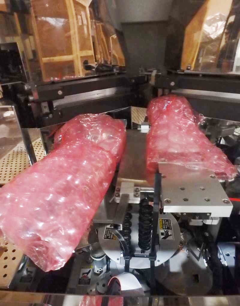 Axcelis Gemini 202 MCU Plasma Asher