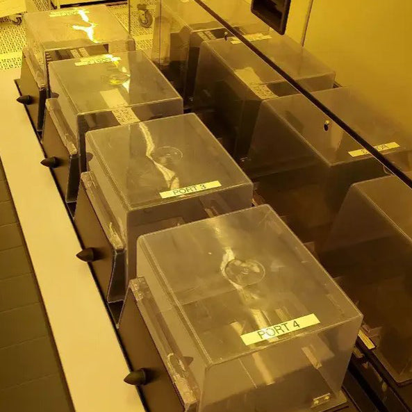 ASML PAS 5500 / 1150 C Wafer Stepper