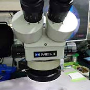 Meiji Microscope