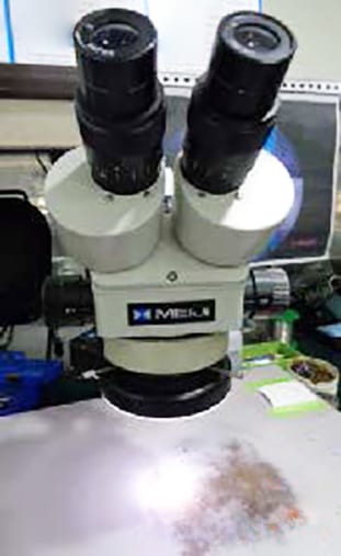Meiji Microscope