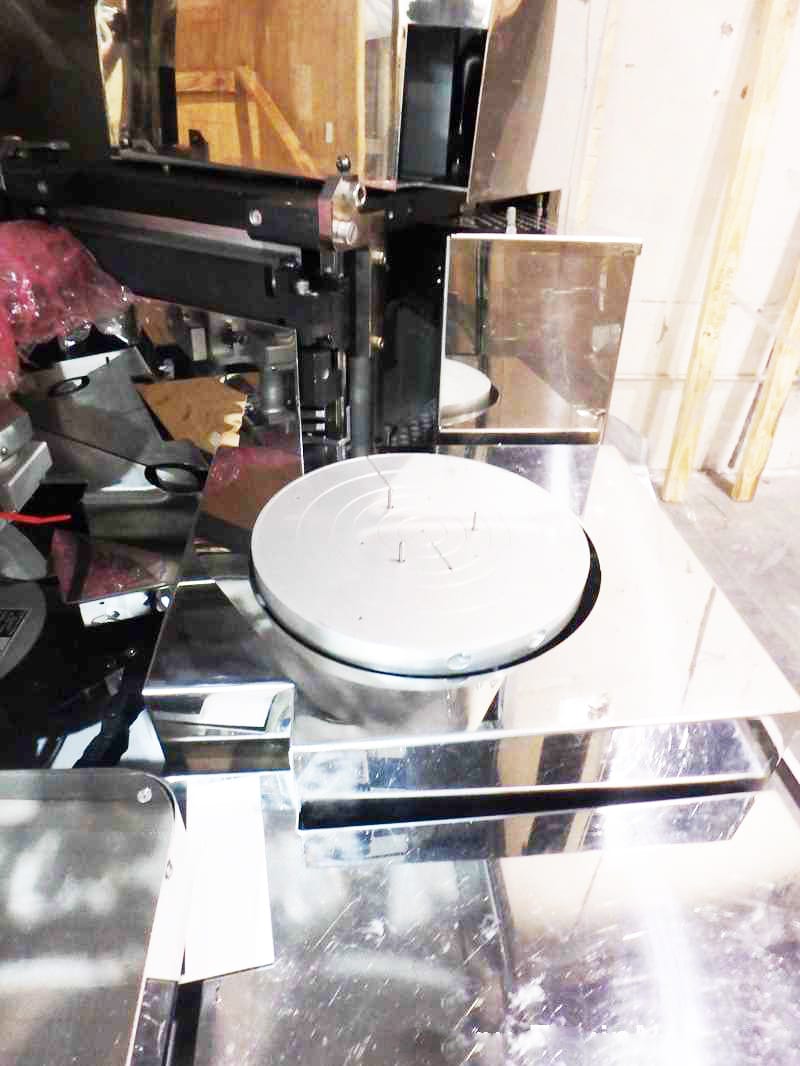 Axcelis Gemini 202 MCU Plasma Asher