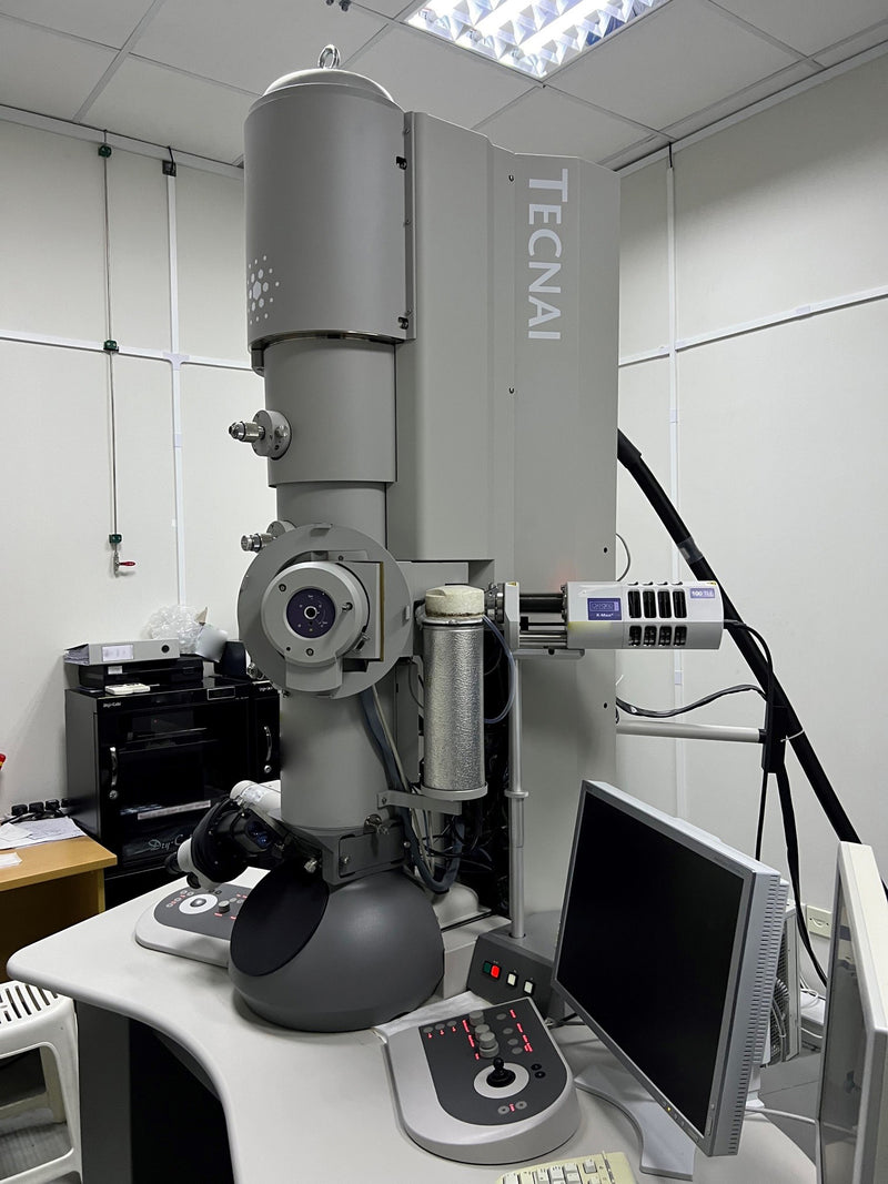 Thermo Fisher Scientific / FEI Tecnai F 20 TEM (Transmission Electron Microscope)