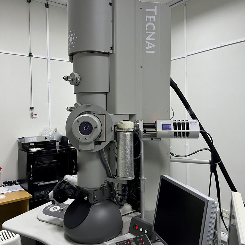 Thermo Fisher Scientific / FEI Tecnai F 20 TEM (Transmission Electron Microscope)