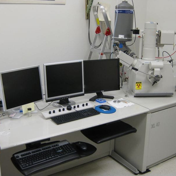 Thermo Fisher Scientific / FEI XL 40 SEM (Scanning Electron Microscope)