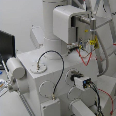 Thermo Fisher Scientific / FEI XL 40 SEM (Scanning Electron Microscope)