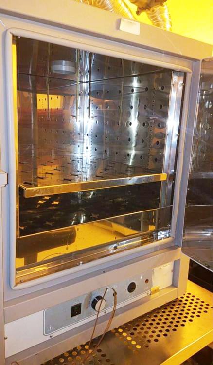 Sheldon 1350 F 2 Atmospheric Oven