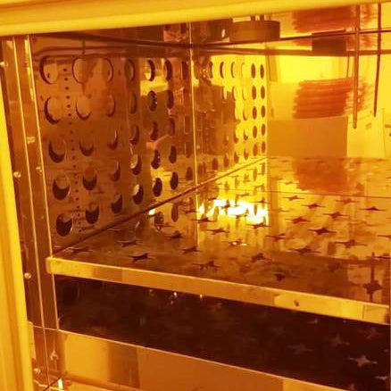 Sheldon 1350 F 2 Atmospheric Oven