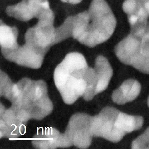 Jeol 2100 SEM (Scanning Electron Microscope)
