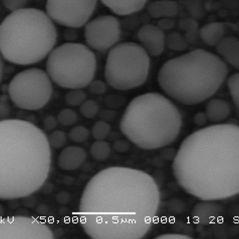 Jeol JSM 6060 LV Turbo SEM (Scanning Electron Microscope)