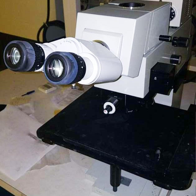 Microscope