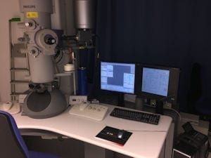 Thermo Fisher Scientific / FEI Tecnai 20 S Twin TEM (Transmission Electron Microscope)