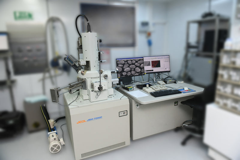 Jeol JSM 7000 F SEM (Scanning Electron Microscope)