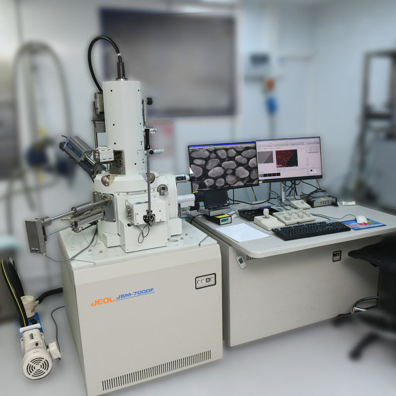 Jeol JSM 7000 F SEM (Scanning Electron Microscope)