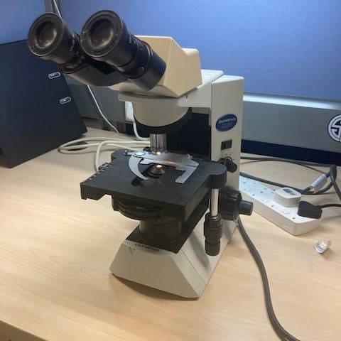 Olympus CX 31 Microscope