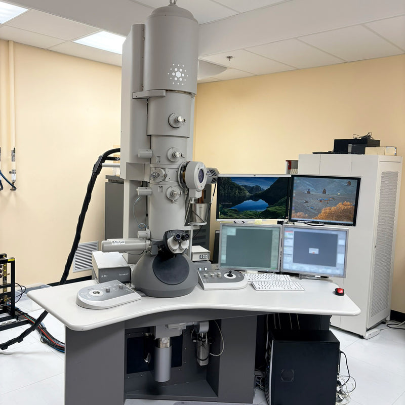 Thermo Fisher Scientific / FEI Tecnai G 2 F 20 X-Twin TEM (Transmission Electron Microscope)