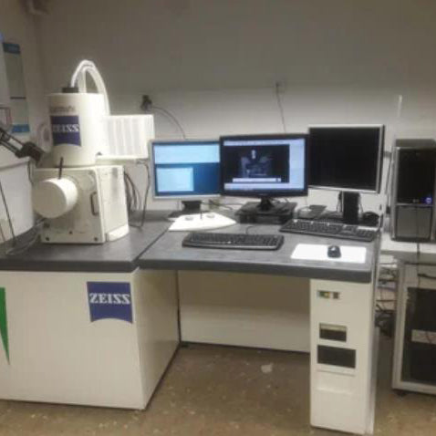 Zeiss Leo 1530 FE-SEM (Field Emission Scanning Electron Microscope)