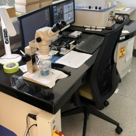 Fischione 1080 PicoMill TEM (Transmission Electron Microscope)